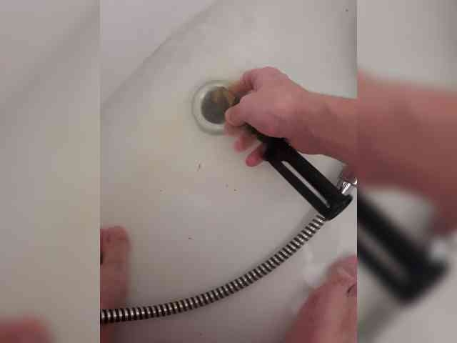 Nikita-21sm Nikita-21sm