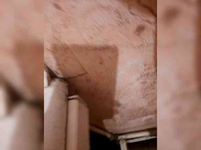 Nikita-21sm Nikita-21sm