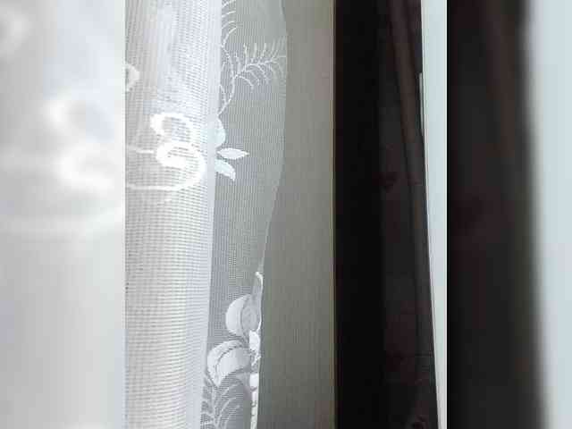 NellieVega NellieVega