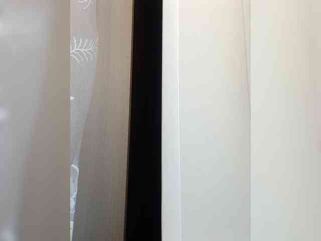 NellieVega NellieVega