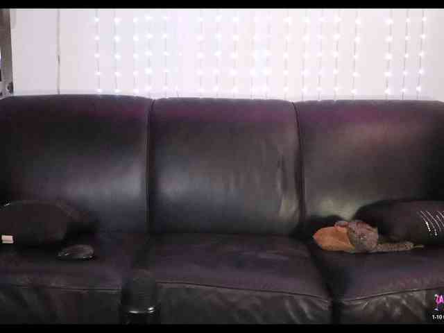 DamienSlick DamienSlick