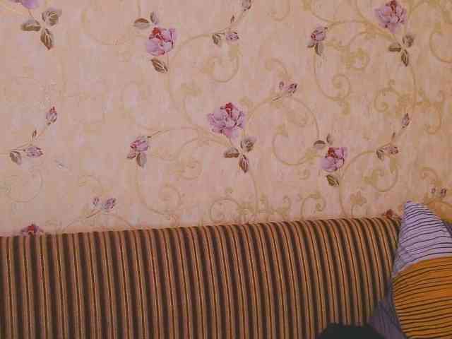 Polly-Katie Polly-Katie