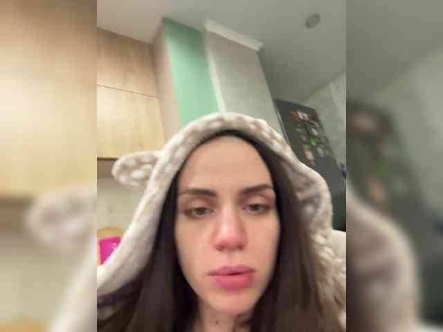 PrivateCleaner webcam