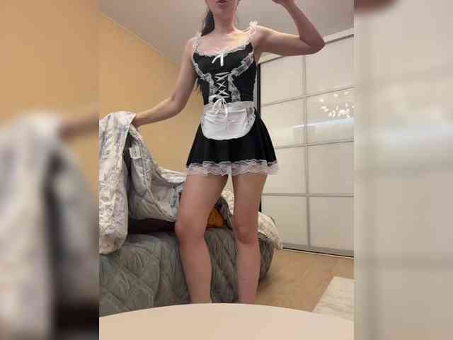 PrivateCleaner webcam