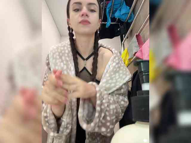 PrivateCleaner webcam