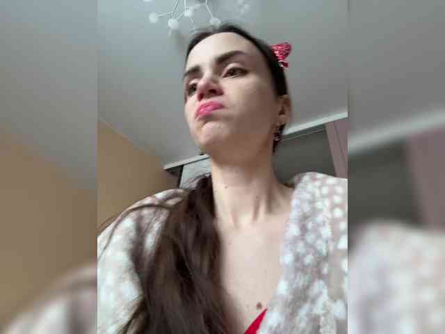 PrivateCleaner webcam