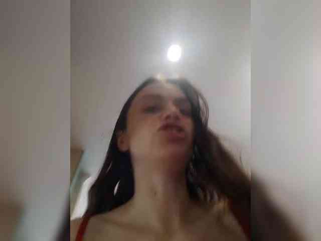 PrivateCleaner webcam