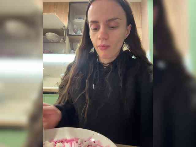 PrivateCleaner webcam