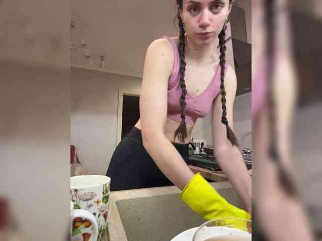 PrivateCleaner webcam