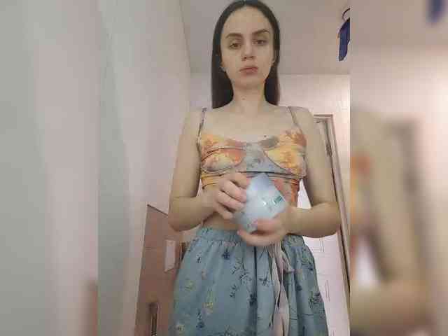 PrivateCleaner webcam