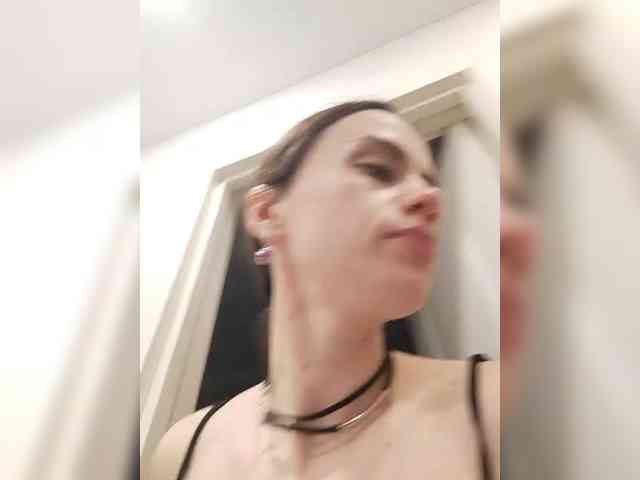 PrivateCleaner webcam