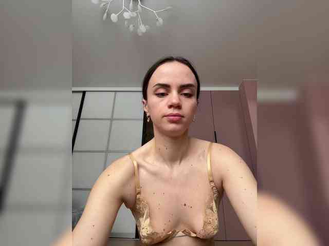 PrivateCleaner webcam