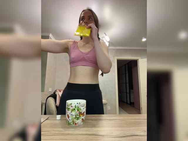 PrivateCleaner webcam