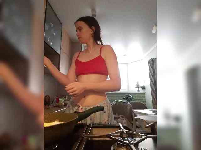 PrivateCleaner webcam