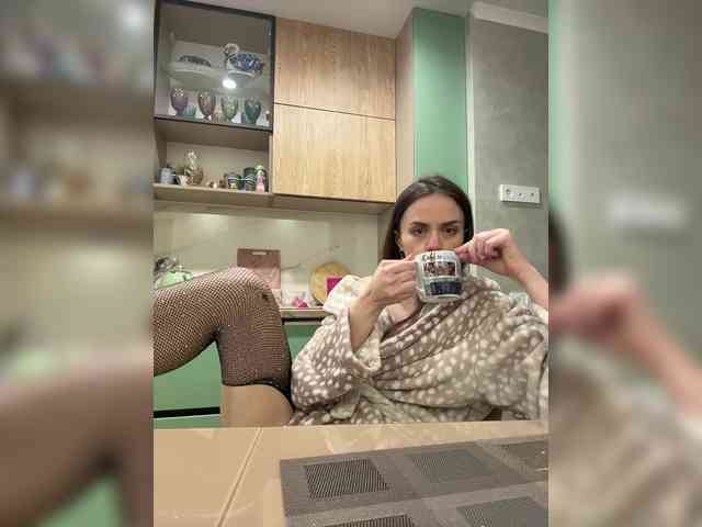 PrivateCleaner webcam