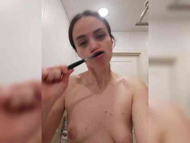 PrivateCleaner webcam