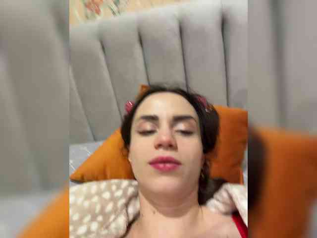 PrivateCleaner webcam