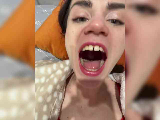 PrivateCleaner webcam