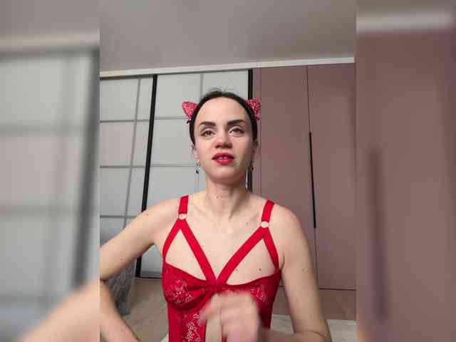 PrivateCleaner webcam