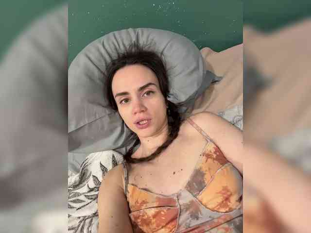 PrivateCleaner webcam