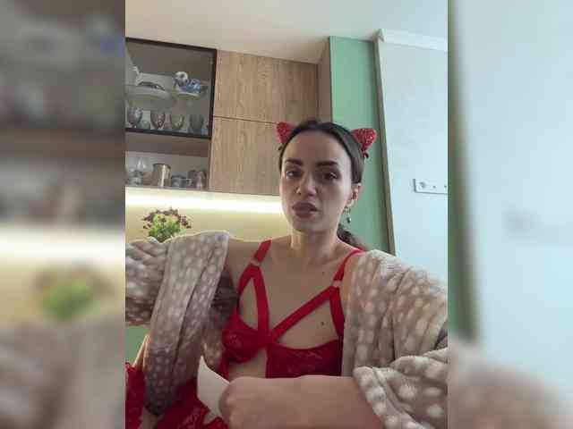 PrivateCleaner webcam