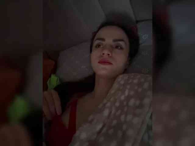 PrivateCleaner webcam