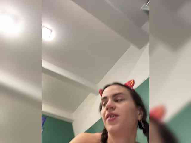 PrivateCleaner webcam