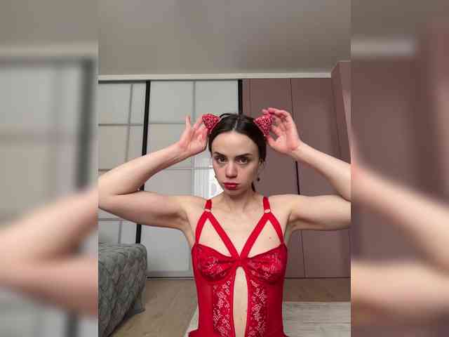 PrivateCleaner webcam