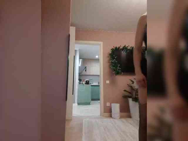 PrivateCleaner webcam