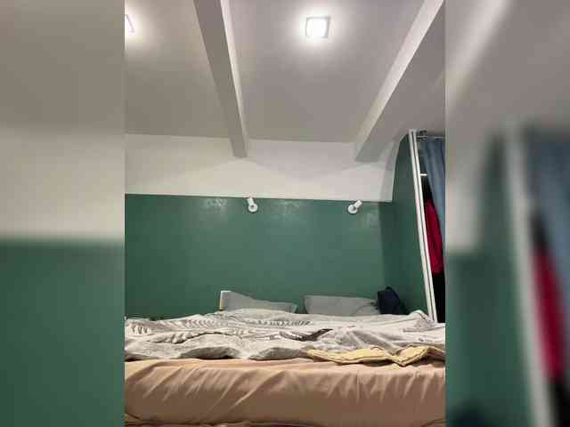 PrivateCleaner webcam