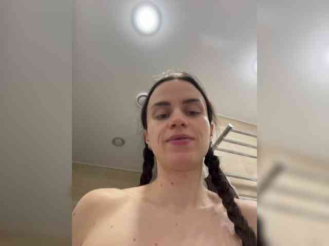 PrivateCleaner webcam