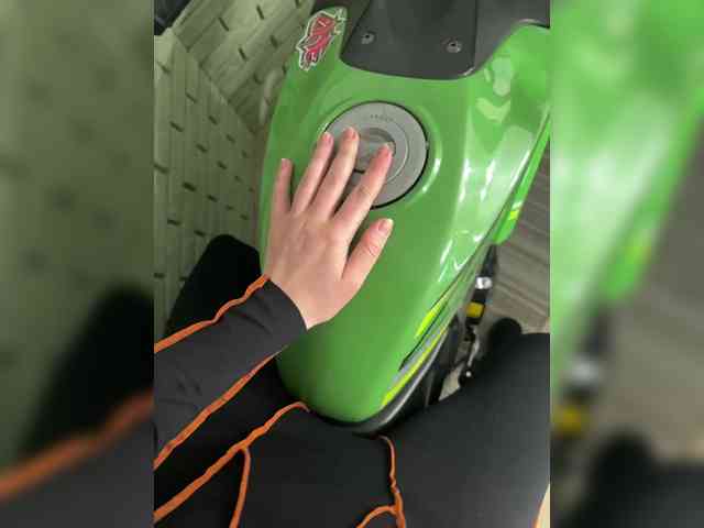 PrivateCleaner webcam