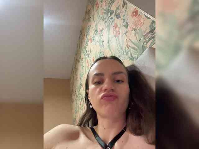 PrivateCleaner webcam