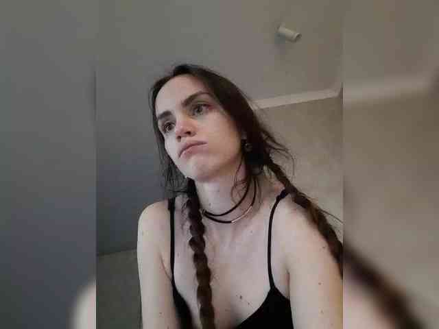 PrivateCleaner webcam