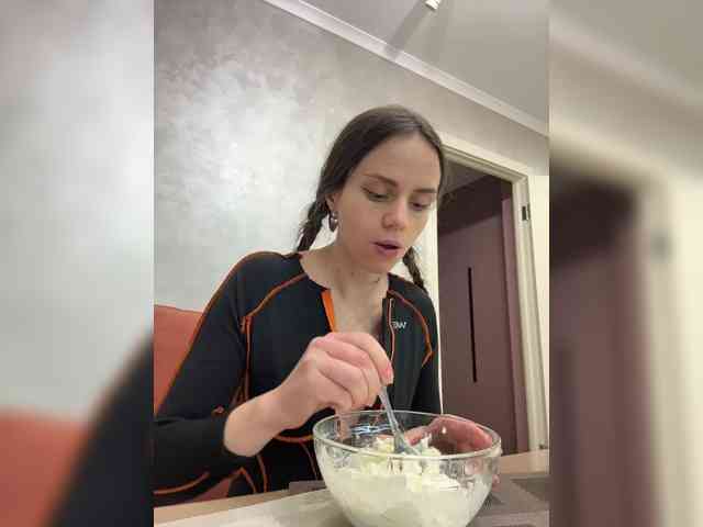 PrivateCleaner webcam