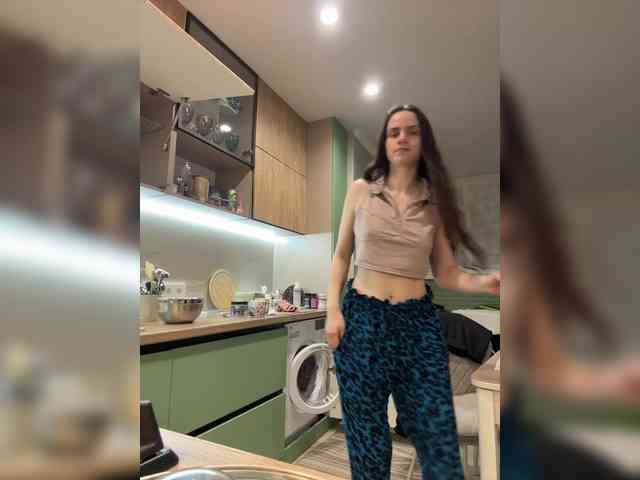 PrivateCleaner webcam