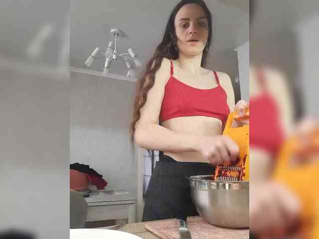 PrivateCleaner webcam