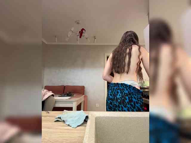 PrivateCleaner webcam