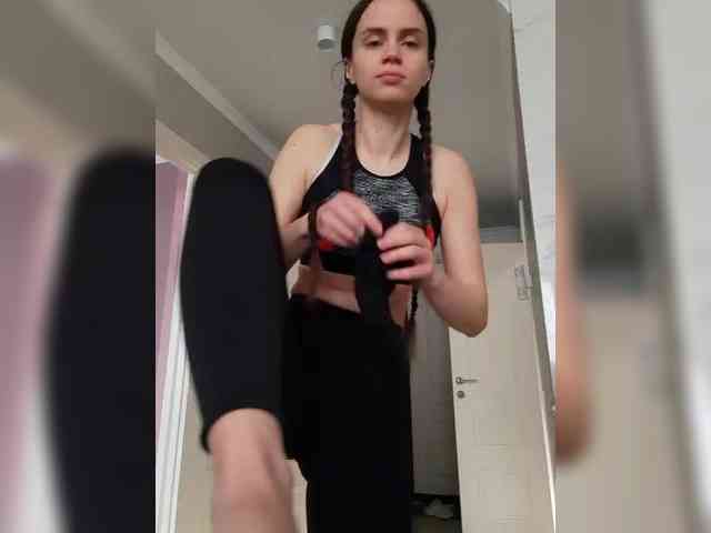 PrivateCleaner webcam