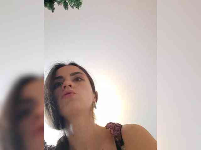 PrivateCleaner webcam