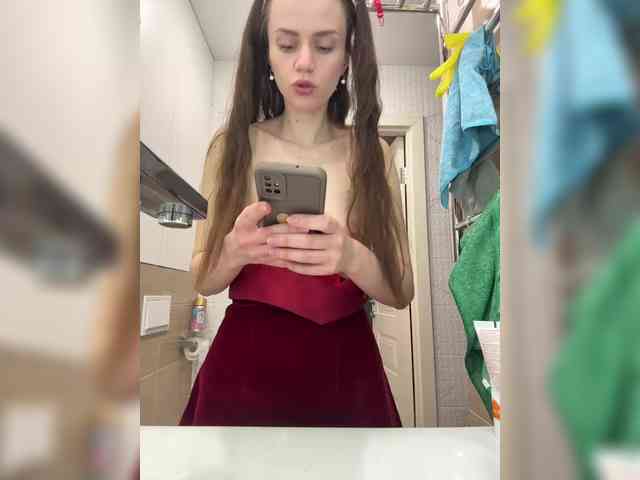 PrivateCleaner webcam