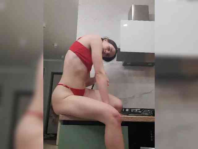 PrivateCleaner webcam