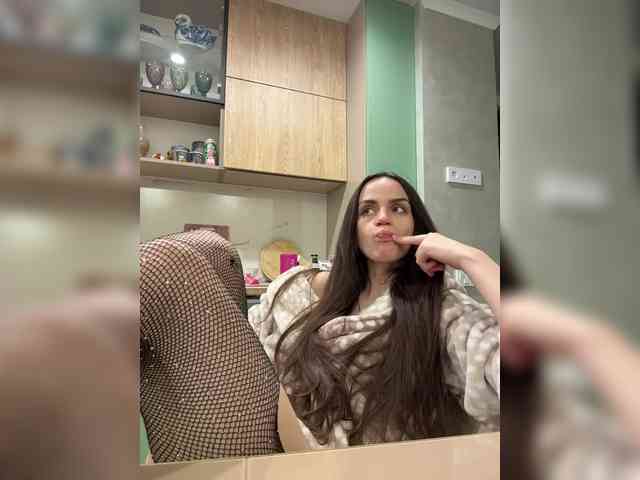 PrivateCleaner webcam