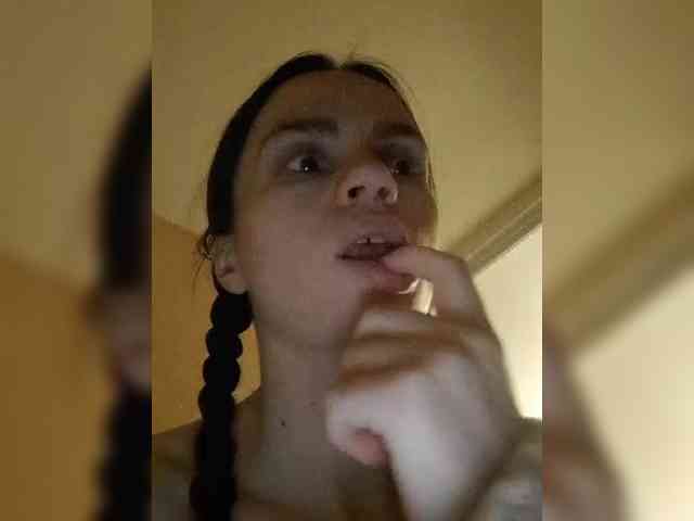 PrivateCleaner webcam