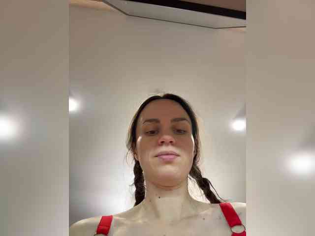 PrivateCleaner webcam