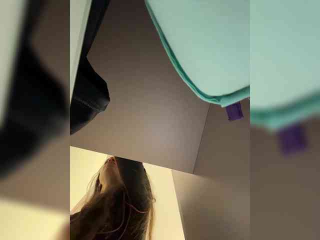 PrivateCleaner webcam