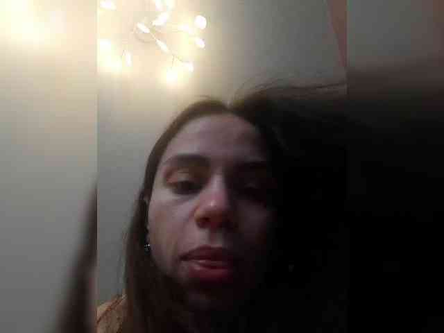 PrivateCleaner webcam