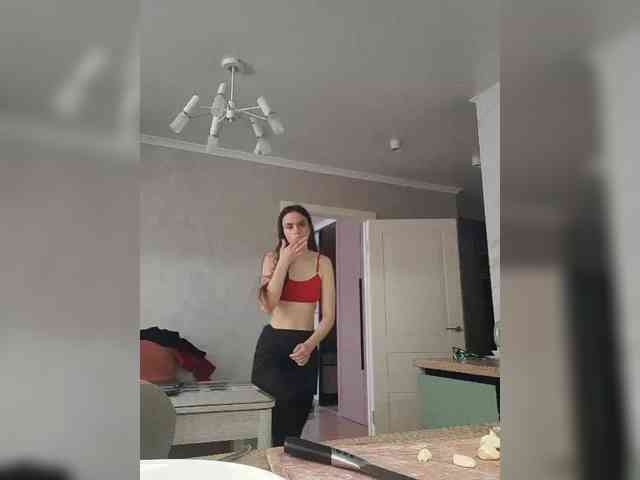 PrivateCleaner webcam