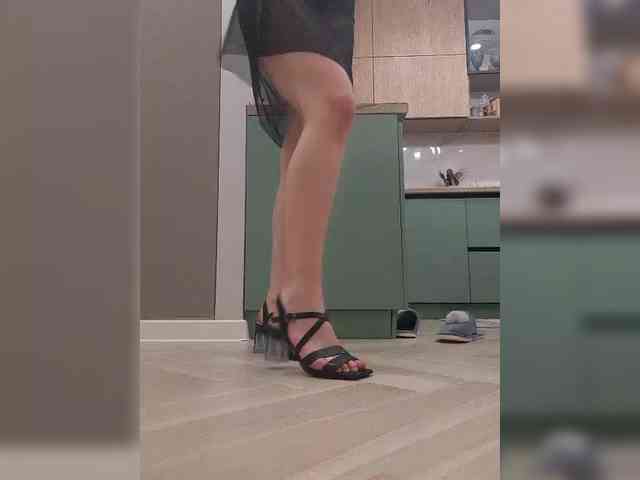 PrivateCleaner webcam