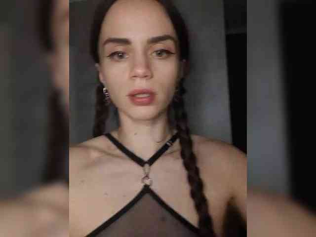 PrivateCleaner webcam